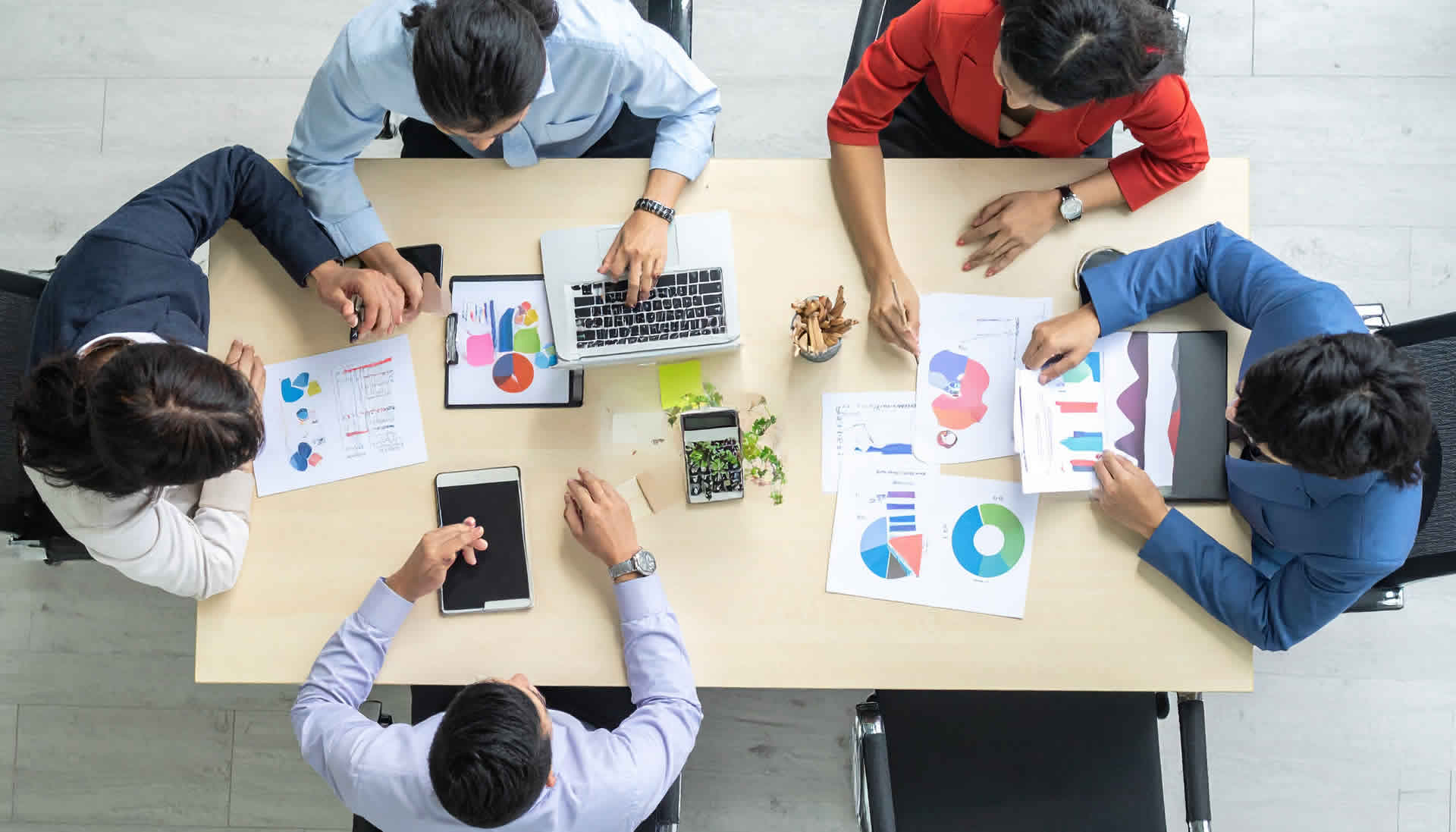 Due Diligence Investigations